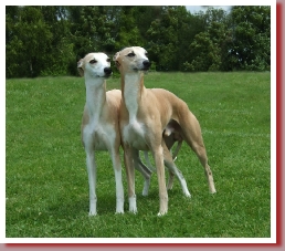 Coffee & Cream  with his sister Clemence