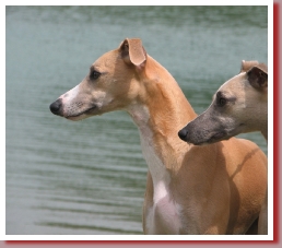 Coffee & Cream  with his sister Coppelia