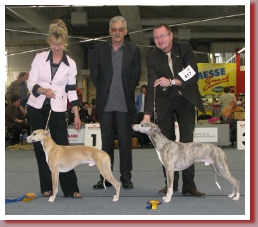 Europa Sieger 2009