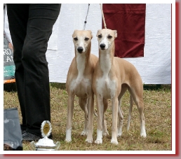 Coffee & Cream  with his sister Coppelia