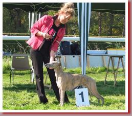 Eurosighthound08